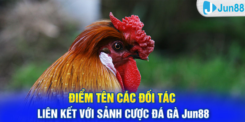 Điểm tên các đối tác liên kết với sảnh cược đá gà Jun88