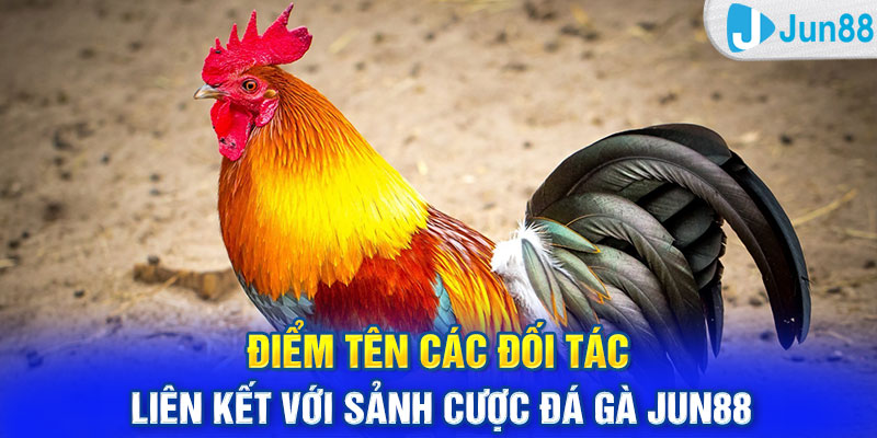 Điểm tên các đối tác liên kết với sảnh cược đá gà Jun88