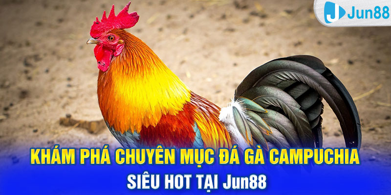 Khám Phá Chuyên Mục Đá Gà Campuchia Siêu Hot Tại Jun88