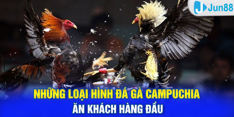 Những loại hình đá gà Campuchia ăn khách hàng đầu