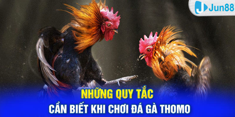 Những quy tắc cần biết khi chơi đá gà Thomo